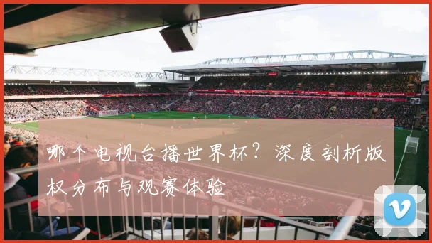 哪个电视台播世界杯？深度剖析版权分布与观赛体验