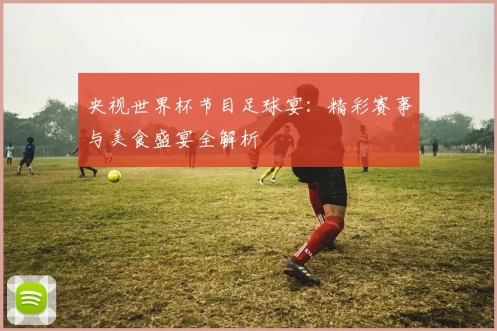 央视世界杯节目足球宴：精彩赛事与美食盛宴全解析