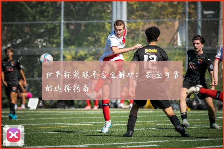 世界杯购球平台全解析：安全可靠的选择指南
