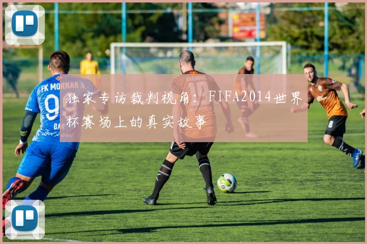 独家专访裁判视角：FIFA2014世界杯赛场上的真实故事