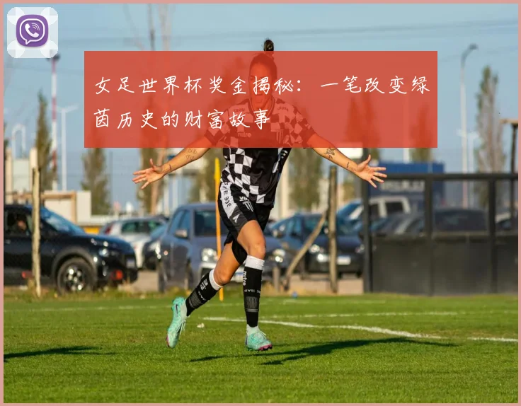 女足世界杯奖金揭秘:一笔改变绿茵历史的财富故事