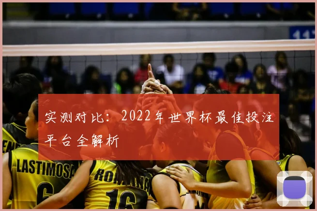 实测对比:2022年世界杯最佳投注平台全解析