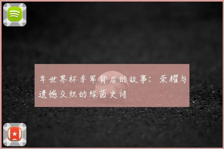 年世界杯季军背后的故事:荣耀与遗憾交织的绿茵史诗