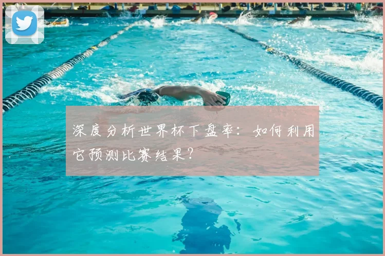 深度分析世界杯下盘率：如何利用它预测比赛结果？