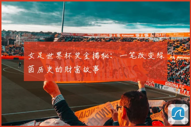 女足世界杯奖金揭秘：一笔改变绿茵历史的财富故事