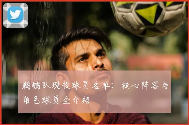 鹈鹕队现役球员名单：核心阵容与角色球员全介绍