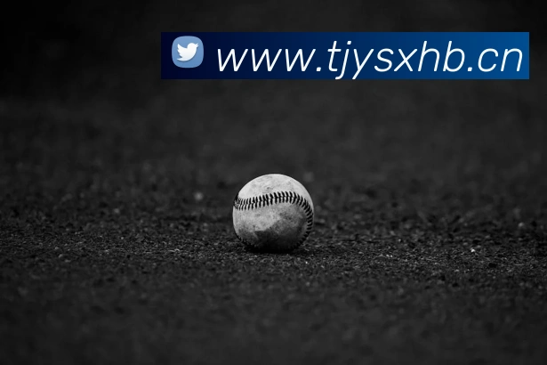 星空网页平台生态图